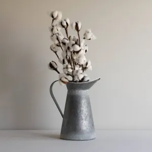 Field Fresh Pitcher Vase