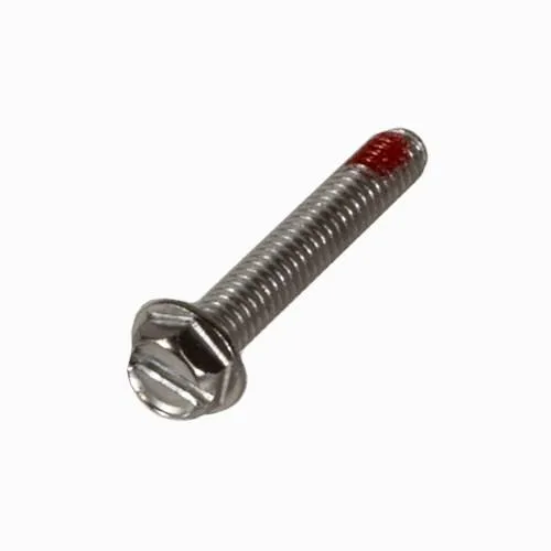 Pentair Screw 355334